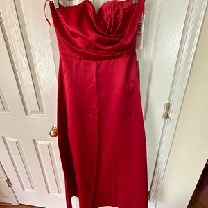 Blue Sage Red Dress